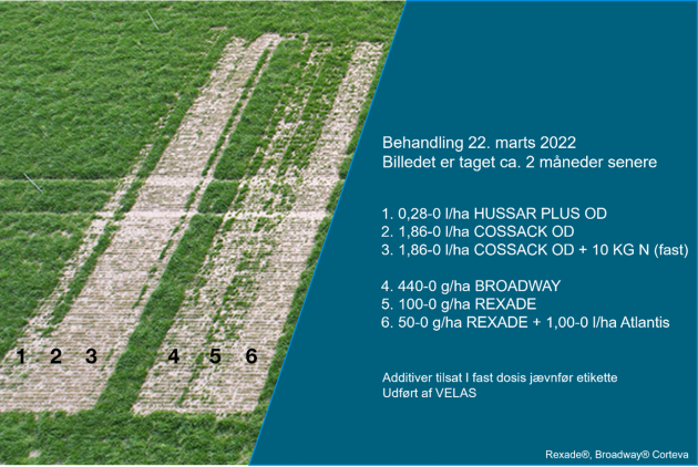 Bayer Crop Science , bekæmpelse af ukrudt